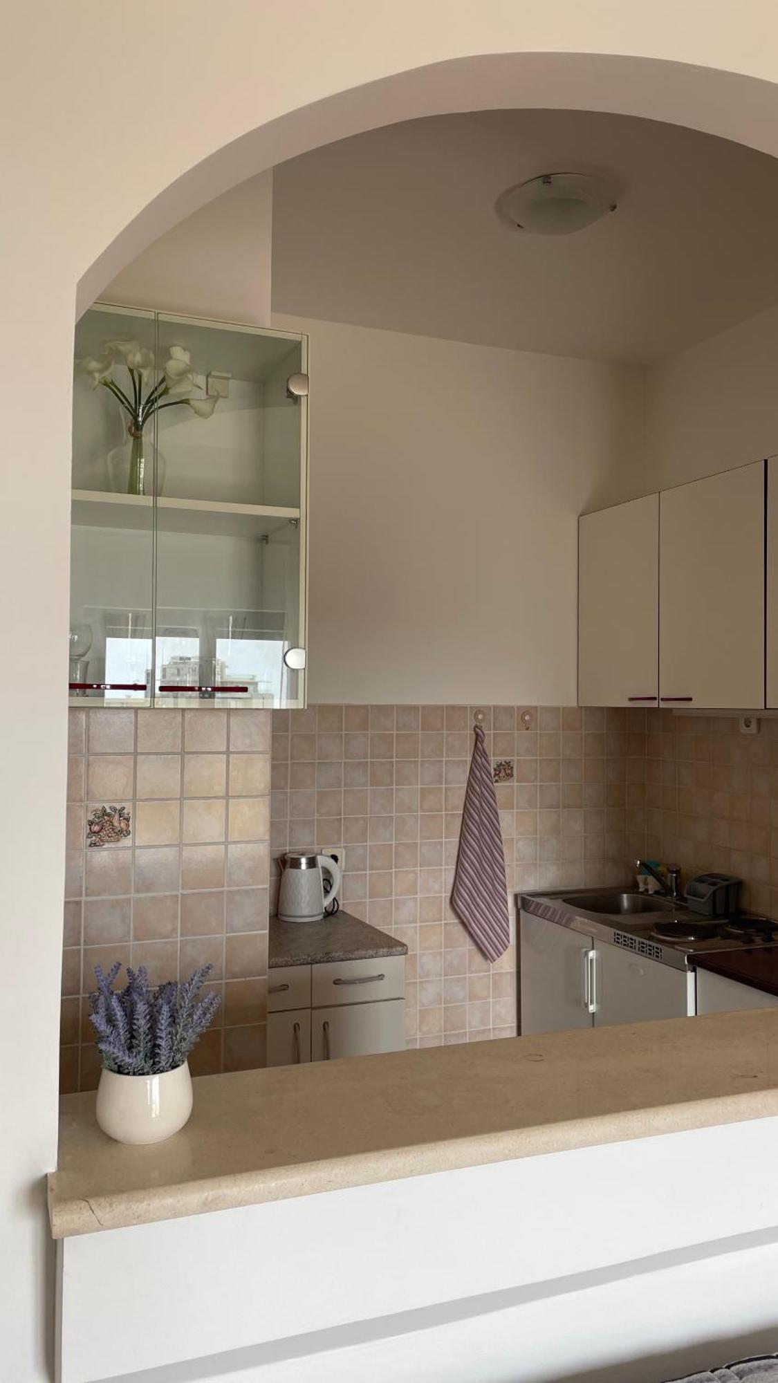 Apartment Tatjana Petrovac Екстер'єр фото